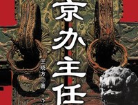 《驻京办主任（二）》读后感锦集