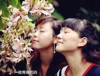 青春的诗