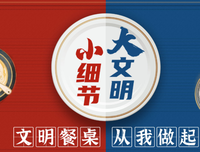 《健康饮食的真相》的观后感大全