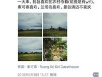 两块稻田