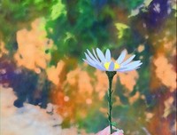 关于惟愿起灵安的优美句子