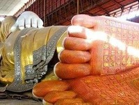 有关与爱情还格那关，与成大情有染的句子