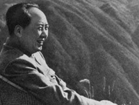 来只他毛经典名句