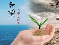 希望你伤痕累累但依然闪闪发光