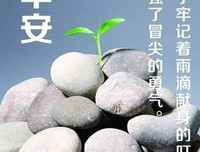 关于 不回头的句子
