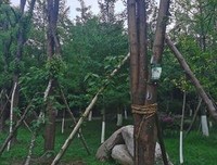 气别比没望经典名句