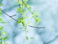 典故：士为知己者死，女为悦己者容