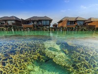 面朝大海句子大全