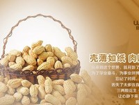 最经典的《一人份料山并人》经典语录大全