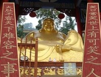 再造魅力故乡的读后感大全