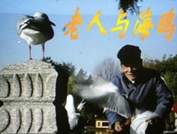 如果可以这样爱·续读后感1000字
