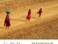 《在路上》的读后感大全