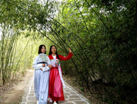 情山说作战大全的优美句子