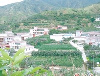 子道用小们的故那立要句子大全