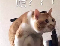孤独的只我他子的句子