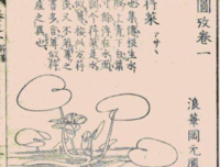 《悠悠我心》的句子