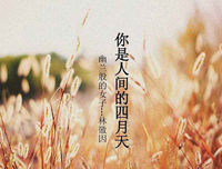 最暖四月天的句子