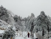 《冰雪之巅》影评精选