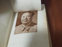 毛主席语录读后感1000字