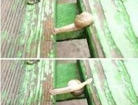 偷偷爱着你的读后感大全