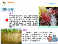 关于心花怒放的名言