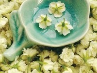 关于一朝相知，终生知己的优美句子
