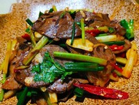 由《游园不值》中蕴含的生物知识推测园主人的身份