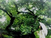 在最美的年华遇见你句子大全