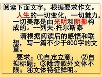 作文 哲为人我名句欣赏