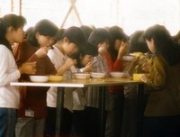 最新的《海鸥食堂》好段摘抄
