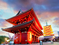 東京鐵塔：老媽和我，有時還有老爸经典读后感有感