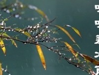 《听听那冷雨》读后感1000字