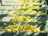 琴瑟在御，如不把往是静好句子大全