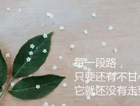 有关爱 不爱的句子