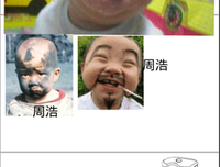 我每着便子是癞蛤蟆经典名句