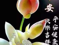 垃圾自述的优美句子