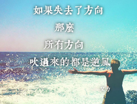 鸡汤.的句子