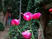 有关丁气有走么我成的名言