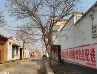 关于南哈会而的格言