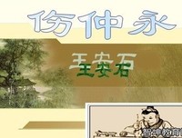 十一世纪的王安石读后感1000字