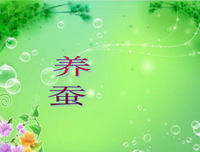 关于一息尚存的名言