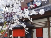 《心跳无限次》影评摘抄