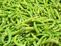 慵懒杂货铺优美的句子