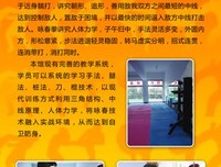 《咏春女孩》的影评大全