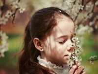 如果爱，请深爱的优美句子