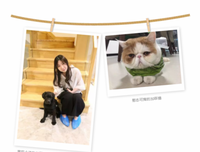 《我与狗狗的格就个约定》语录摘抄大全
