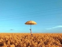 风雨人生，自己撑伞