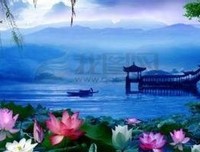 《青梅成熟时》影评摘抄