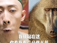 随便聊聊新版鹿鼎记韦小宝的扮演者张一山