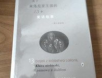 关于来洛尼亚王国的十三个童话故事读后感精选